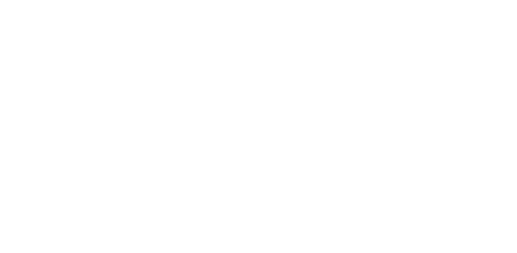 TelaPoint logo